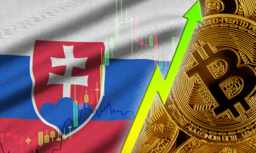 Aký názor majú na Bitcoin a ďalšie digitálne aktíva Slováci? Niektorí sú obozretní, iní do nich investujú tisícky eur.
