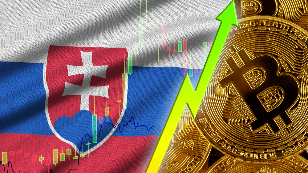 Aký názor majú na Bitcoin a ďalšie digitálne aktíva Slováci? Niektorí sú obozretní, iní do nich investujú tisícky eur.