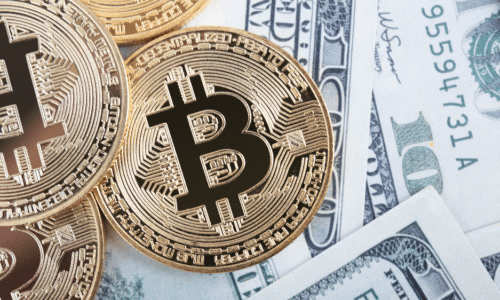 Investícia 3 000 eur do kryptomien pred 5 rokmi. Ako to dopadlo?