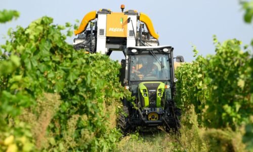 Hlavne zachovať európsku agropolitiku: Anketa o Vízii EÚ pre poľnohospodárstvo