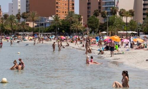 Agresivní mořský tvor řádí na Mallorce: Turistce utrhl kus lýtka, pláž musela být uzavřena