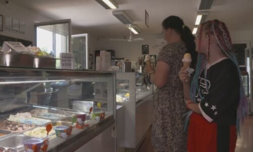 Zmrzlina s příchutí ginu, sena nebo asfaltu? Čeští zákazníci mají netradiční chutě rádi