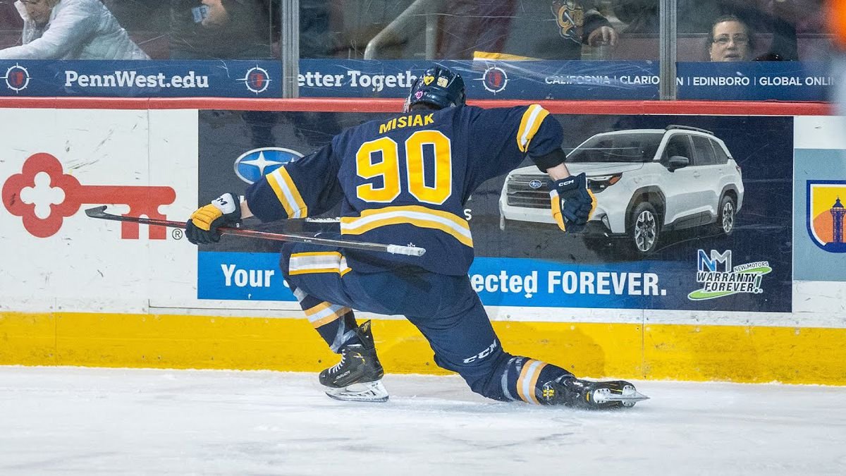 Expert otvorene o dvoch Slovákoch, v Chicagu Blackhawks čakali viac. Mišiak a Gajan vraj sklamali Expert otvorene o dvoch Slovákoch, v Chicagu Blackhawks čakali viac. Mišiak a Gajan vraj sklamali