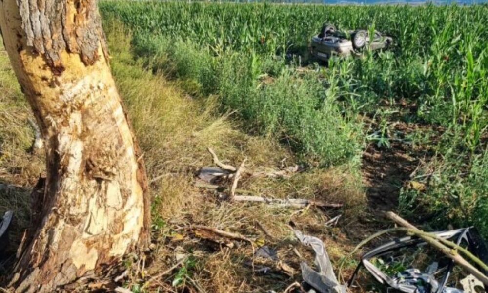 Tragická dopravná nehoda v okrese Levice, vodič neprežil náraz do stromu – FOTO