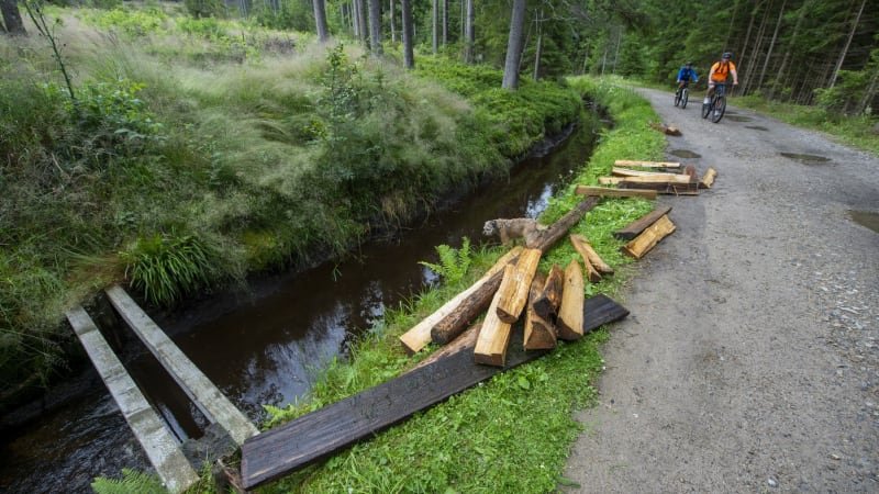 Omezení na Šumavě. Po 20 letech probíhá čištění Schwarzenberského kanálu Omezení na Šumavě. Po 20 letech probíhá čištění Schwarzenberského kanálu