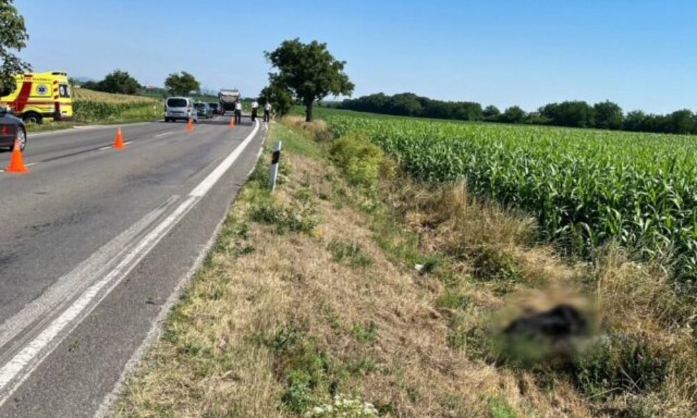Pri Komjaticiach našli mŕtveho muža a poškodenú motorku, polícia zisťuje jeho totožnosť – FOTO