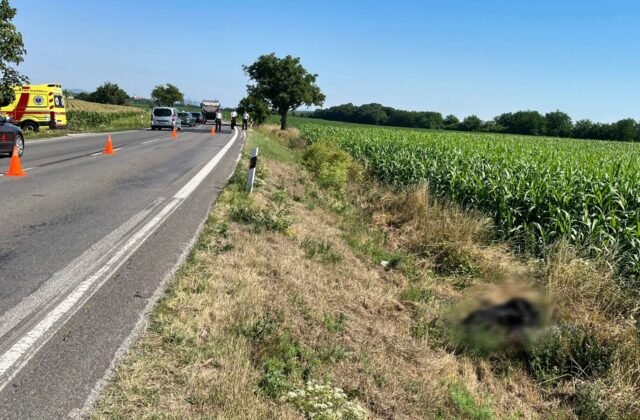 487045_nehoda-motorkar-640x420.jpg Pri Komjaticiach našli mŕtveho muža a poškodenú motorku, polícia zisťuje jeho totožnosť – FOTO