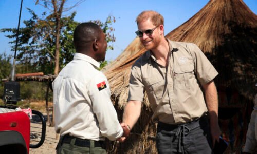 494796_prince_harry_angola_81564-640x420.jpg Princ Harry kráča v Dianiných šľapajach. Prešiel odmínovaným poľom, deti učil, ako sa vyhnúť smrti – FOTO