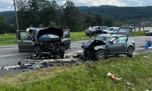 Audi sa pri Važci čelne zrazilo s Mercedesom, ani u jedného vodiča nezistili alkohol
