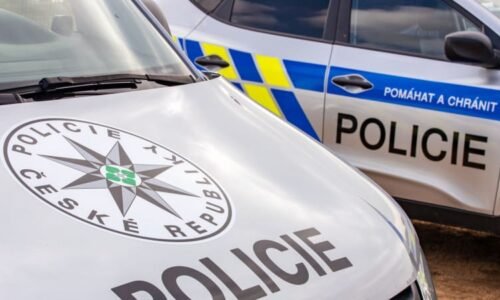 Odešla z domu, pak se po ní slehla zem. Policie hledá seniorku z Ostravy, nemá důležité léky