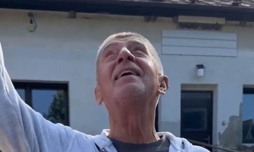 Normálně mě osr*l, sdílel Babiš video s ptákem. Úpadek kultury, hodnotí expert politické bizáry