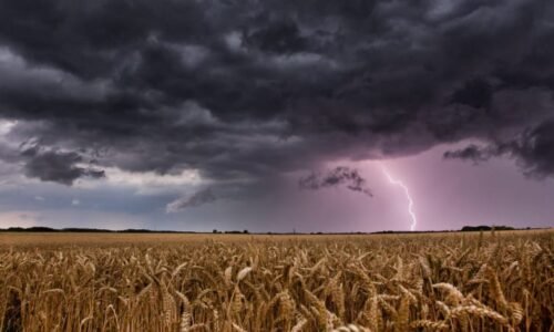 RADAR: Zítřejší počasí přinese příjemné teploty. Kde můžou letní idylku zkazit bouřky?