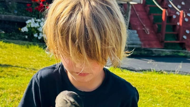 Osmiletý chlapec zachránil káčátka. Teď se od něj nehnou na krok, doprovázejí ho i do školy Osmiletý chlapec zachránil káčátka. Teď se od něj nehnou na krok, doprovázejí ho i do školy