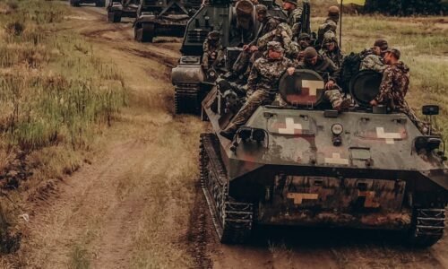 Arms Trends in Ukraine: 30 June