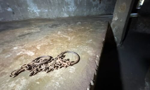 Extrémní případ týrání v Arizoně: Ženu připoutal řetězem a znásilňoval. Je šílená, hájí se muž Extrémní případ týrání v Arizoně: Ženu připoutal řetězem a znásilňoval. Je šílená, hájí se muž