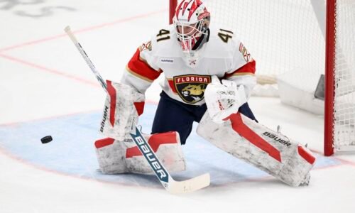 Český brankár smeruje do najmladšieho klubu NHL, opúšťa víťaza Stanley Cupu