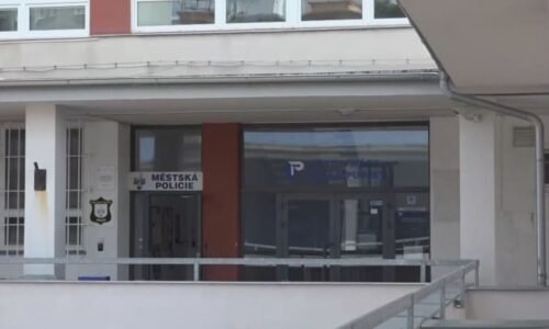Drsná bitka dětí v Jirkově: Dívka schytala řadu ran, ukazují záběry. Nakonec přišlo plivnutí
