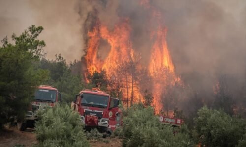 Tragická bilance požáru v Turecku: Při jeho hašení zemřelo nejméně deset lidí