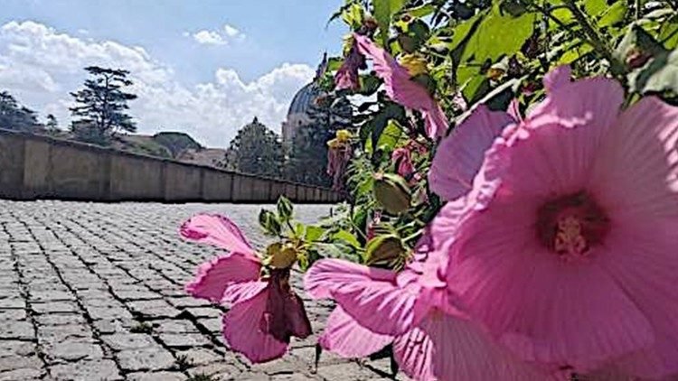 Pápež Lev XIV. bude prvýkrát sláviť svätú omšu za starostlivosť o stvorenie