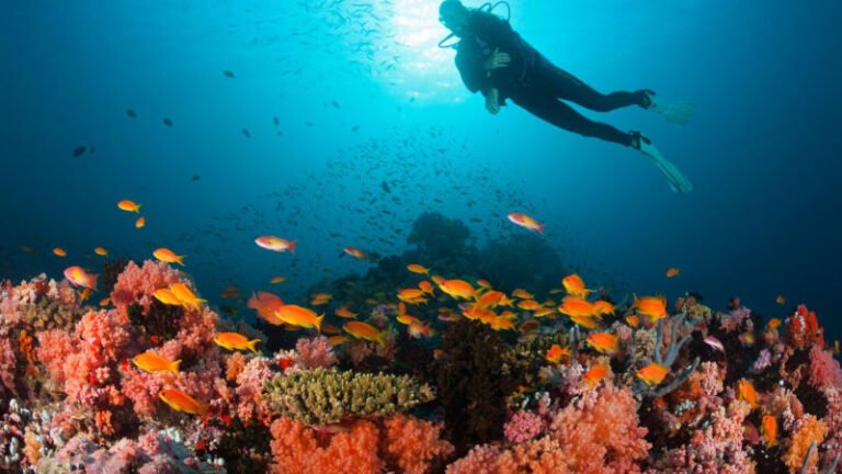 Jadran čelí tiché hrozbě z hlubin. vědci bijí na poplach, mluví o katastrofě