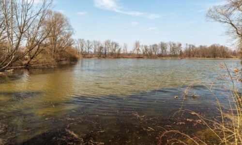 Rybníkáři se na Novojičínsku připravují na provzdušňování rybníků. Důvodem jsou horka