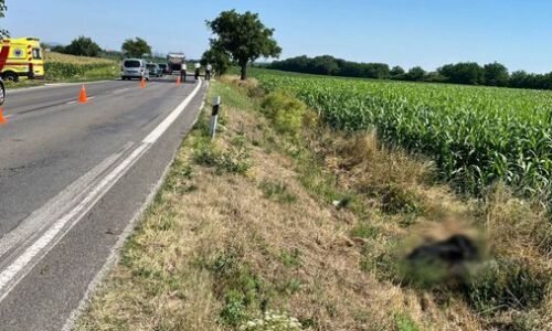 Neďaleko Komjatíc prišiel o život starší muž v motorkárskej kombinéze. Jeho identita nie je známa