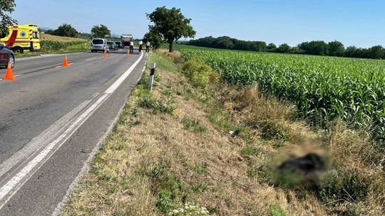 Neďaleko Komjatíc prišiel o život starší muž v motorkárskej kombinéze. Jeho identita nie je známa