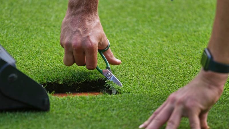 Tisíce tenisáků i květin: Wimbledon je jako divadlo. Proč je na kurtech tráva méně zelená?