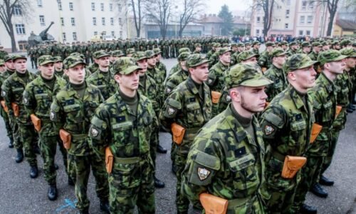Do obrany státu by se zapojila polovina Čechů, ukazuje výzkum. Zájem o vstup do armády klesá