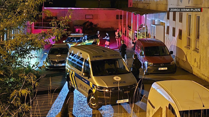 Tragédie na Plzeňsku: Pádem ze střechy se zabil 13letý chlapec, zřejmě spáchal sebevraždu Tragédie na Plzeňsku: Pádem ze střechy se zabil 13letý chlapec, zřejmě spáchal sebevraždu