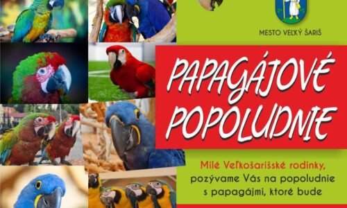 Čaká na Vás Papagájové popoludnie