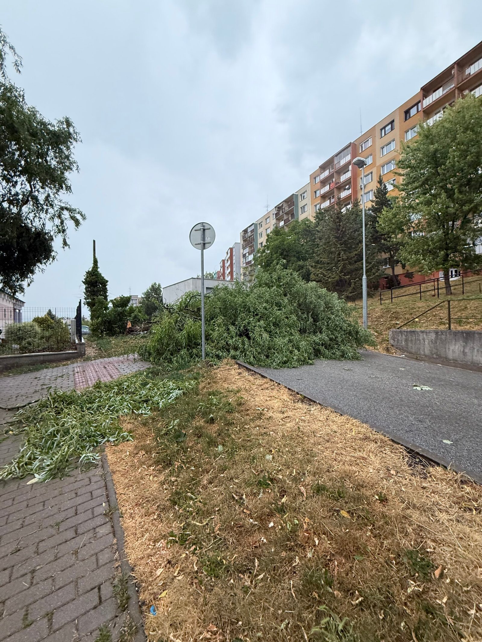Minulotýždňová búrka v Košiciach poškodila 103 stromov Minulotýždňová búrka v Košiciach poškodila 103 stromov
