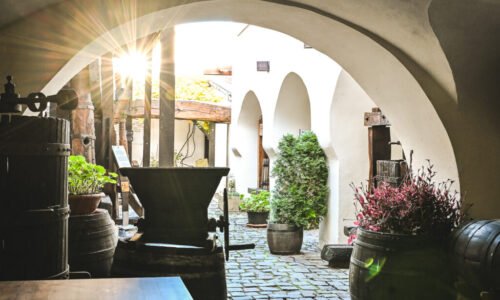 Letná kampaň Malokarpatského múzea v Pezinku pozýva návštevníkov zažiť múzeum ako miesto zážitkov, živých príbehov a interaktívnych výstav