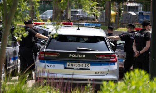 V lesnom poraste pri Veľkých Lovciach zomrel 44-ročný muž