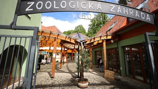 Preliezanie plotov, šťuchanie zvierat paličkami, čudné kŕmenie. Bojnická aj bratislavská ZOO hovoria o otrasných prípadoch