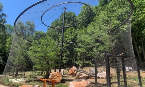 Košická ZOO víta návštevníkov s novými atrakciami