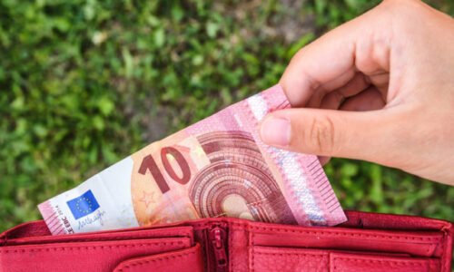 Vyžiť zo mzdy je problém pre väčšinu Slovákov, prieskum odhalil tvrdú realitu slovenských domácností