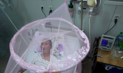 Vírus chikungunya nakazil v Číne tisíce ľudí, niektoré opatrenia pripomínajú COVID-19