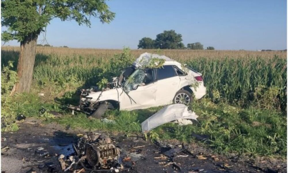 Mladý vodič neprežil náraz do stromu, motor skončil mimo vozidla – FOTO