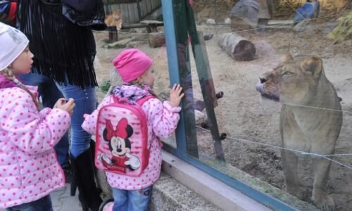 ZOO Bratislava otvára nové krúžky pre deti. Čakajú ich výpravy do divočiny, stretnutia so zvieratami aj záchranné programy
