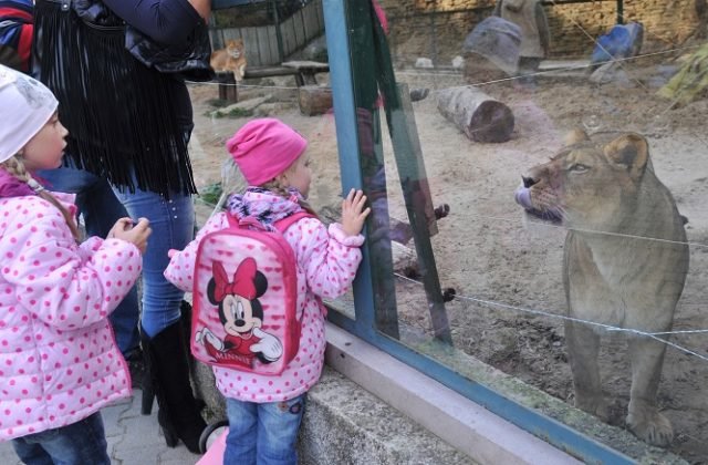 546225_zoo-640x420.jpg ZOO Bratislava otvára nové krúžky pre deti. Čakajú ich výpravy do divočiny, stretnutia so zvieratami aj záchranné programy