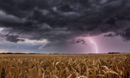 Sledujte RADAR: Česko má před sebou nejteplejší dny týdne. Kde čekat přeháňky a bouřky?