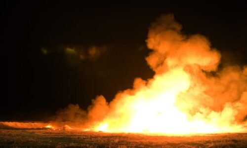 Chlapce pohltily po nehodě plameny. Mami, nech mě prosím umřít, křičel v bolestech malý Brit
