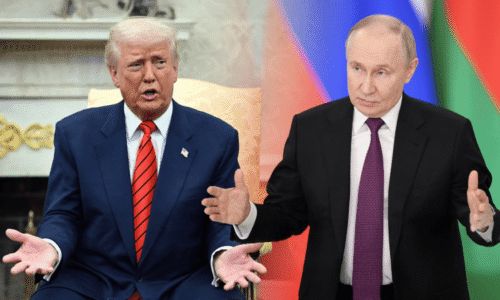 ANALÝZA: Na Aljašce se střetnou dva medvědi. Trump by měl Putinovi ukázat, že on je ten větší