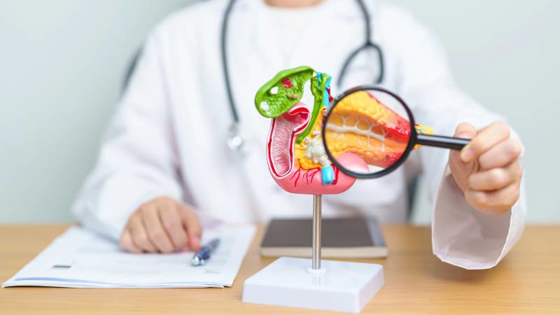 Studie odhalila vyšší riziko rakoviny u dálkových běžců. Odborníci zatím netuší proč Studie odhalila vyšší riziko rakoviny u dálkových běžců. Odborníci zatím netuší proč
