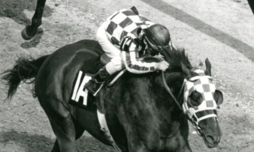 Zemřela dostihová legenda. Turcotte získal v sedle slavného hřebce ikonickou Trojkorunu