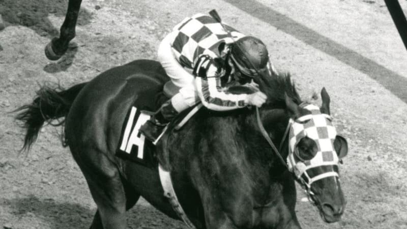 Zemřela dostihová legenda. Turcotte získal v sedle slavného hřebce ikonickou Trojkorunu Zemřela dostihová legenda. Turcotte získal v sedle slavného hřebce ikonickou Trojkorunu