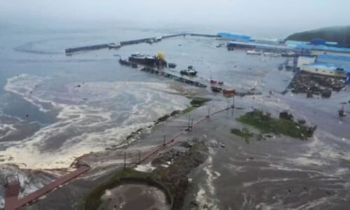 Pejskař na Kamčatce natočil přicházející tsunami. Před vlnami musel utíkat Pejskař na Kamčatce natočil přicházející tsunami. Před vlnami musel utíkat