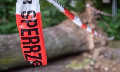 Na stan táborníků v Německu spadl strom: Zemřela mladá žena, další se zranila