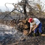EU wildfires hit new record as flames scorch area larger than Cyprus – POLITICO